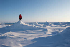 在北極荒野中，穿著紅色外套的人站在白雪覆蓋的冰丘上。