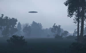 黎明時分，一個UFO懸浮在霧氣瀰漫的森林上空，樹木呈現剪影。