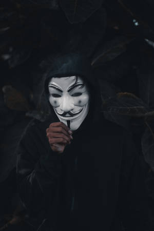 穿著黑色連帽衫的人戴著白色蓋伊·福克斯面具，在黑暗的樹葉中拿著香煙。