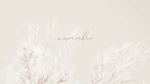 蒲葦草與奶油色背景上的草書字體「november」。