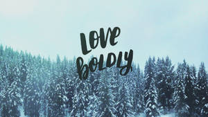 積雪的松樹，黑色字體寫著 love boldly。