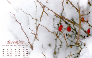 十二月日曆，帶有白雪覆蓋的多刺樹枝和紅色漿果
