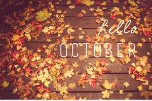秋葉覆蓋木甲板與 hello october 文字