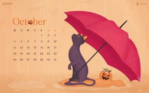 黑貓喺十月落雨場景中，攞住紅色遮同南瓜。