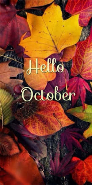 深色木材上帶有「Hello October」文字的紅色、橙色和黃色秋葉。 — 花卉 iPhone 壁紙