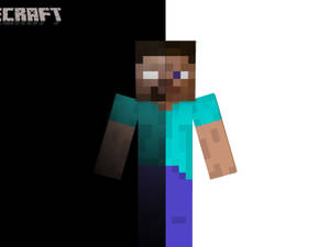 Minecraft角色從中間分割，背景為黑色和白色。