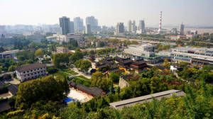 現代城市中樹木環繞的傳統寺廟 — 唐人街 GIF 壁紙