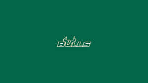 綠色背景，中央有白色輪廓的Bulls標誌。