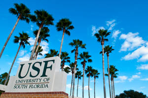 USF University of South Florida標誌與棕櫚樹和藍天 — 棕櫚樹 GIF 壁紙