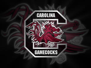南卡羅來納大學Gamecocks黑紅配色壁紙 — 黑色動態圖 壁紙