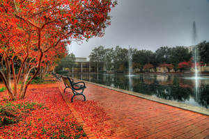 秋日公園，磚砌小徑旁有紅葉，旁邊是帶噴泉的池塘。 — 樹 壁紙