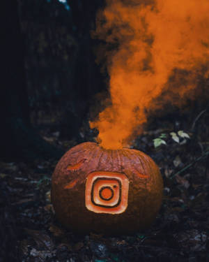 刻有Instagram標誌的雕刻南瓜在黑暗的森林中散發出橙色煙霧。