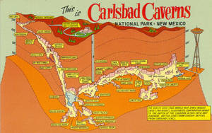 卡爾斯巴德洞窟國家公園的復古插圖地圖，顯示洞穴和地面特徵。 — Cavetown 壁紙