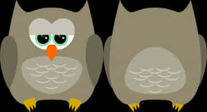 兩隻卡通貓頭鷹並排坐著，背景柔和，適合用作桌面壁紙。