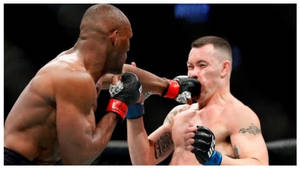 兩名MMA拳手在八角籠中比賽時互相揮拳。
