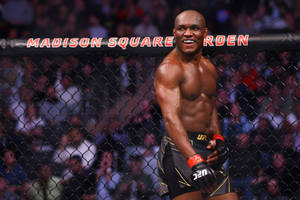 一位勝利的MMA拳手在麥迪遜廣場花園的八角籠內微笑。 — 搏擊會 GIF 壁紙