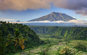 俯瞰梯田和叢林的火山
