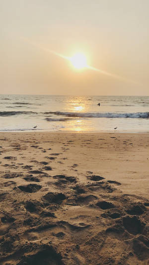 海洋上的夕陽，沙灘上的腳印和水邊的鳥兒 — 日落 壁紙