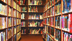 長長的圖書館通道，兩旁排列著高聳的木製書架，書架上擺滿了色彩繽紛的書籍。