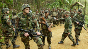 軍事訓練期間在叢林地形中的一群士兵。