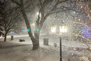 夜晚公園裡下著雪，被發光的街燈照亮。