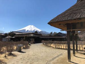 藍天下以富士山為背景的傳統日本茅草屋頂建築。