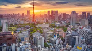 日落時分東京城市景觀的鳥瞰圖，東京塔亮起燈光。