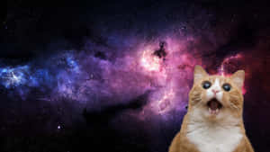 一隻睜大眼睛的橙色貓咪，背景是色彩繽紛的宇宙星雲。