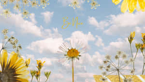 以雛菊和向日葵組成的花卉佈置，背景是藍天白雲和「Be Nice」文字。