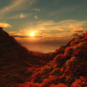秋日森林山谷在夕陽下，有鮮紅的樹木和金色的天空。 — 森林 壁紙