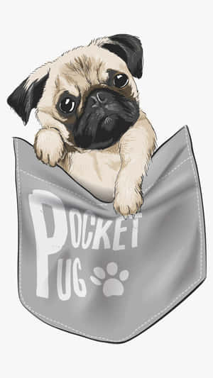 一隻小型巴哥犬從一個標有pocket pug的灰色口袋中探出頭來。