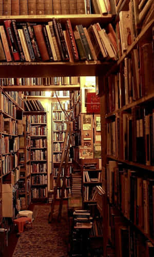 舒適的書店通道，配有高書架和木梯。