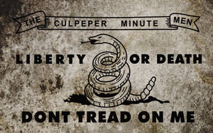 Culpeper Minute Men 旗幟，帶有盤繞的響尾蛇和 Liberty or Death 標語。