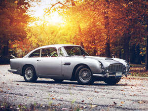 銀色經典Aston Martin DB5停在金色陽光下鋪滿落葉的秋季道路上。