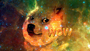 太空中的 Doge 面孔，'WOW' 文字在恆星和星雲雲層中發光。