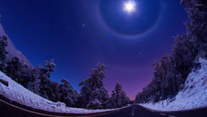 積雪森林道路，明亮的月亮，光環，星空