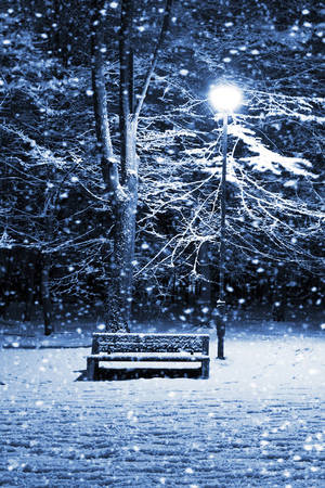 冬夜公園中，發光街燈下的積雪長凳。