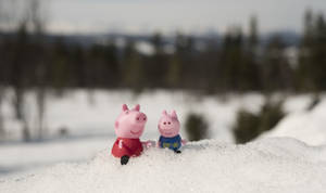 Peppa Pig 和 George 玩具公仔在雪中，森林背景