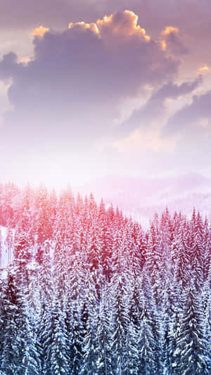 日落時分的雪地森林，天空呈現紫色和粉紅色 — 冬天 壁紙