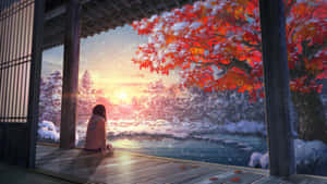 人坐在木門廊上，看著雪花落在冬日夕陽下的紅楓樹上。