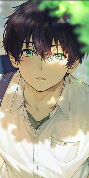 動漫男孩，綠色眼睛和深色頭髮，在樹葉陽光下。