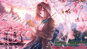 粉紅色頭髮動漫女孩在夕陽下拿著雨傘和書本站在櫻花下。 — 動漫女孩 壁紙