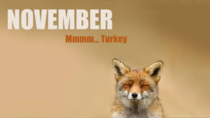 一隻微笑的狐狸閉著眼睛，在寫著 November Mmmm Turkey 的文字下方。 — 狐狸 壁紙