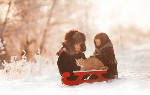 兩個孩子和一隻貓在雪林中的紅色雪橇上，夕陽映照。 — 雪 壁紙