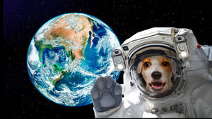 一隻穿著太空衣的快樂狗從外太空向地球揮手。