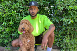 男子與棕色貴賓犬跪在綠色樹籬前