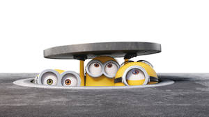 三個卡通Minions從沙井蓋探出頭來，眼睛大大。