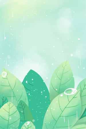 綠色葉片在柔和模糊的背景中落下雨滴。 — 植物 壁紙