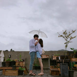 情侶在雨中的屋頂花園裡在雨傘下接吻。 — 情侶 GIF 壁紙