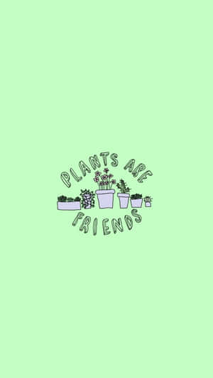 薄荷色背景上帶有「Plants Are Friends」文字的盆栽植物圓形插圖。